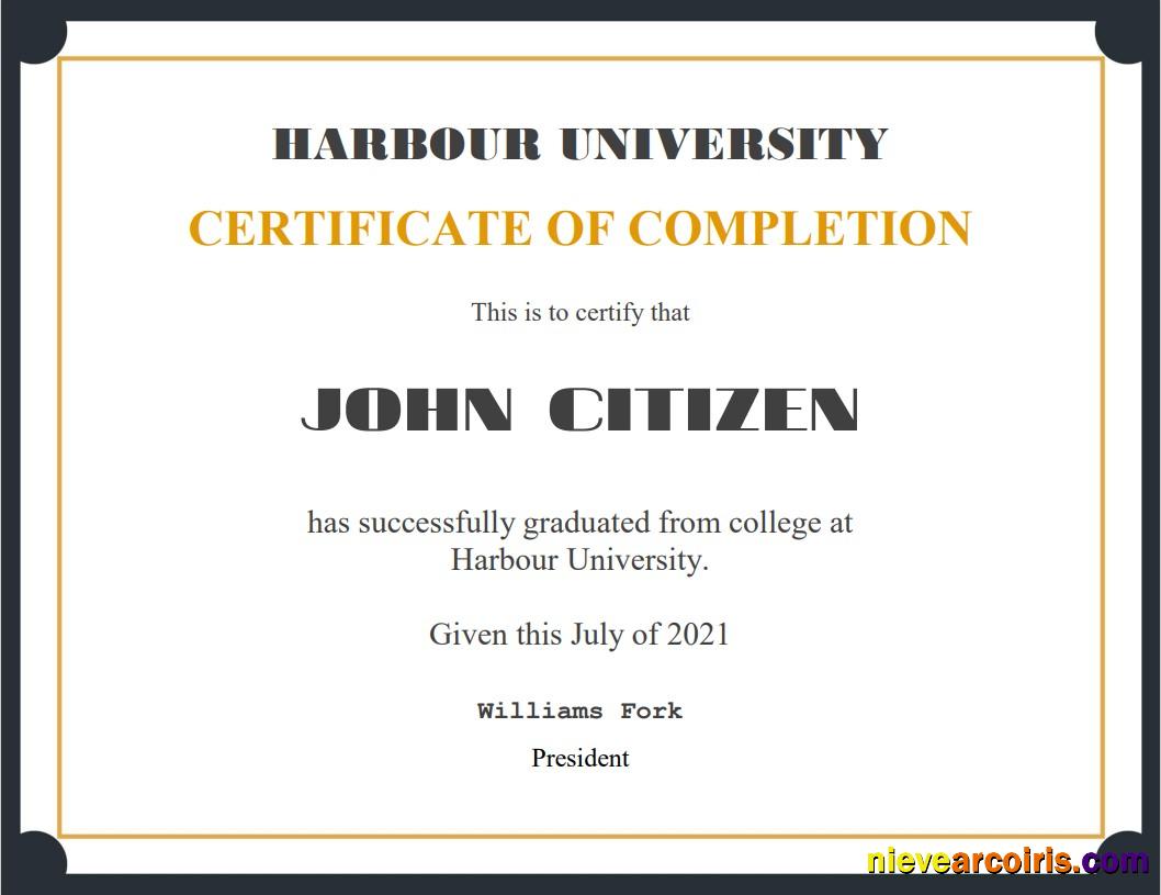 USA Recognition certificate